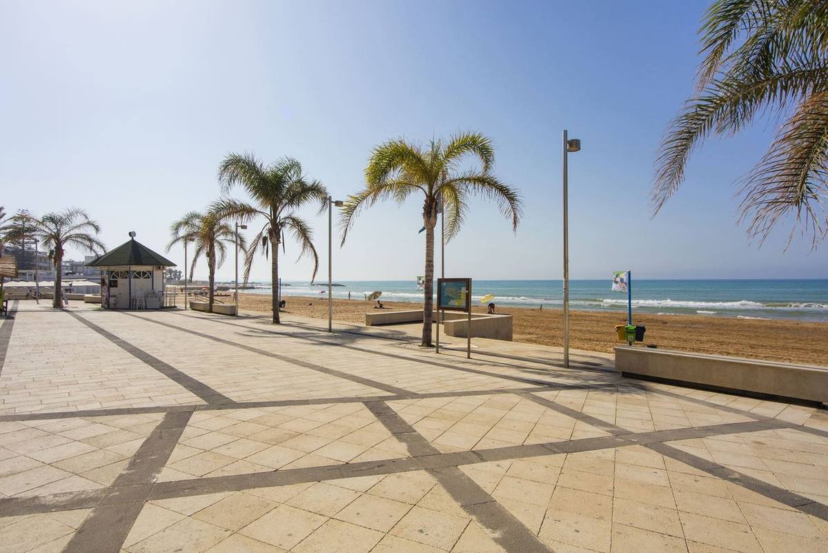 Il lungomare di Marina di Ragusa con le palme